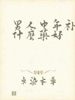 男人中年补肾吃什么药好