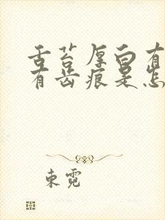 舌苔厚白有裂纹有齿痕是怎么调理