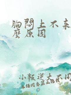 胸闷上不来气什么原因