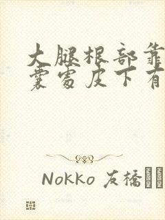 大腿根部靠近阴囊处皮下有个疙瘩