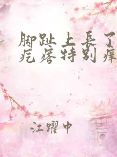 脚趾上长了几个疙瘩特别痒