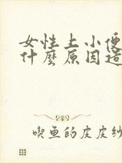 女性上小便疼是什么原因造成的