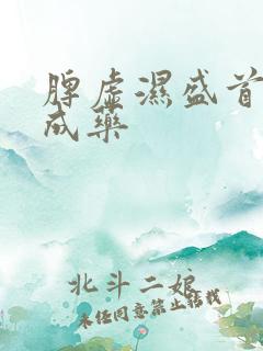 脾虚湿盛首选中成药