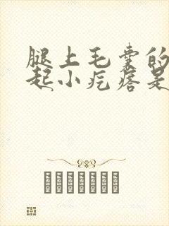 腿上毛囊的地方起小疙瘩是什么