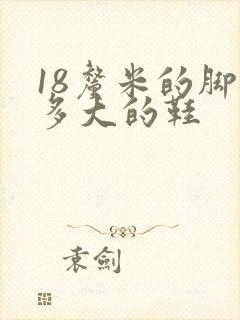 18厘米的脚穿多大的鞋