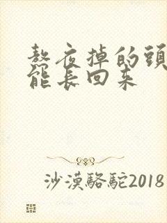 熬夜掉的头发还能长回来