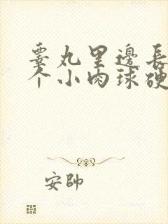 睾丸里边长了一个小肉球硬硬的