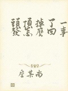 头顶掉了一块头发怎么回事