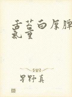 舌苔白厚脾虚湿气重