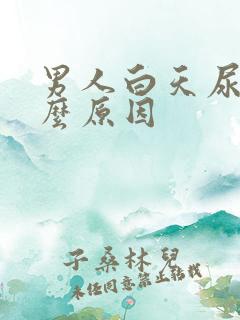 男人白天尿频什么原因