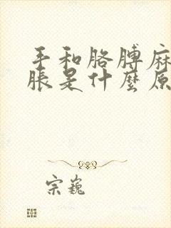 手和胳膊麻木肿胀是什么原因