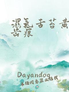 湿气舌苔黄腻有齿痕