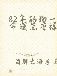 82年的狗一生命运怎么样