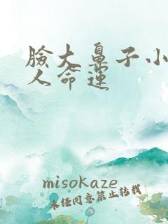 脸大鼻子小的男人命运