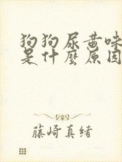 狗狗尿黄味道重是什么原因