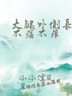 大腿外侧长红疹不痛不痒