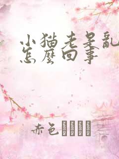 小猫老是乱尿是怎么回事