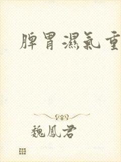 脾胃湿气重痰湿