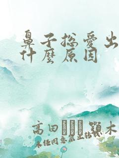 鼻子总爱出血是什么原因