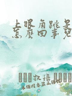 上眼角跳是左眼怎么回事儿