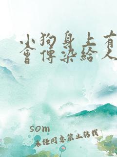 小狗身上有蜱虫会传染给人吗