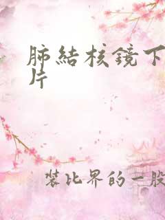 肺结核镜下观图片