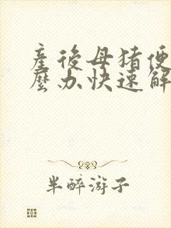 产后母猪便秘怎么办快速解决