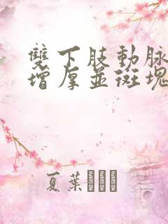 双下肢动脉内膜增厚并斑块形成