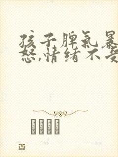 孩子脾气暴躁易怒,情绪不受控制