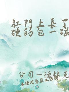 肛门上长了个硬硬的包一碰就疼