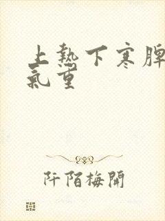 上热下寒脾虚湿气重