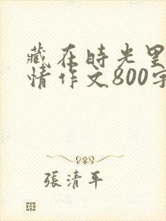 藏在时光里的亲情作文800字