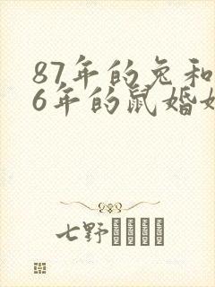 87年的兔和96年的鼠婚姻如何