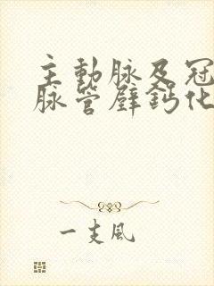 主动脉及冠状动脉管壁钙化