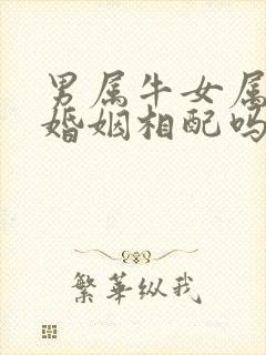 男属牛女属牛的婚姻相配吗