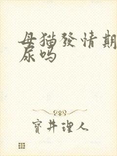 母猫发情期会乱尿吗