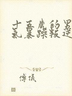 十五岁的男孩脾气暴躁叛逆怎么办