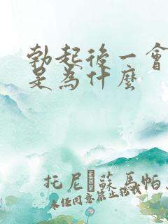 勃起后一会就软是为什么