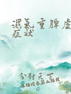 湿气重脾虚表现症状