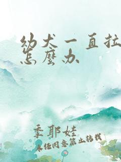 幼犬一直拉软便怎么办