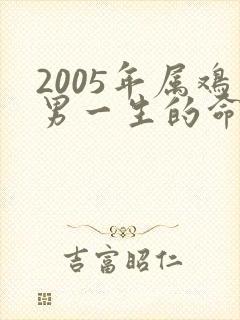 2005年属鸡男一生的命运