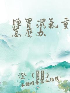 脾胃湿气重湿热怎么办