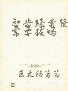 智齿经常发炎 需要拔吗