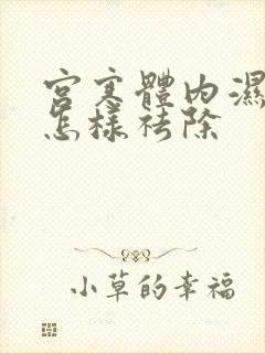 宫寒体内湿气重怎样祛除