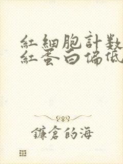 红细胞计数和血红蛋白偏低