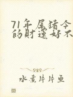 71年属猪今年的财运好不好