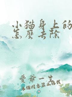 小猫身上的蜱虫怎么去除