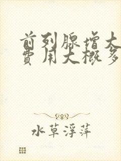 前列腺增大手术费用大概多少钱