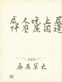 成人晚上尿床是什么原因造成的