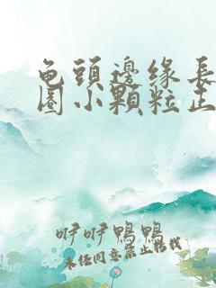 龟头边缘长了一圈小颗粒正常吗